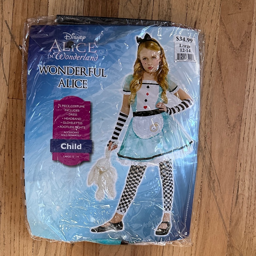 Disney Wonderful Alice Costume with Blue and Black Accents